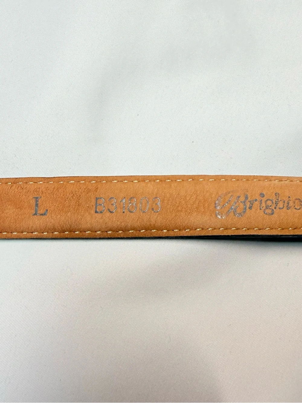 Brighton scroll buckle